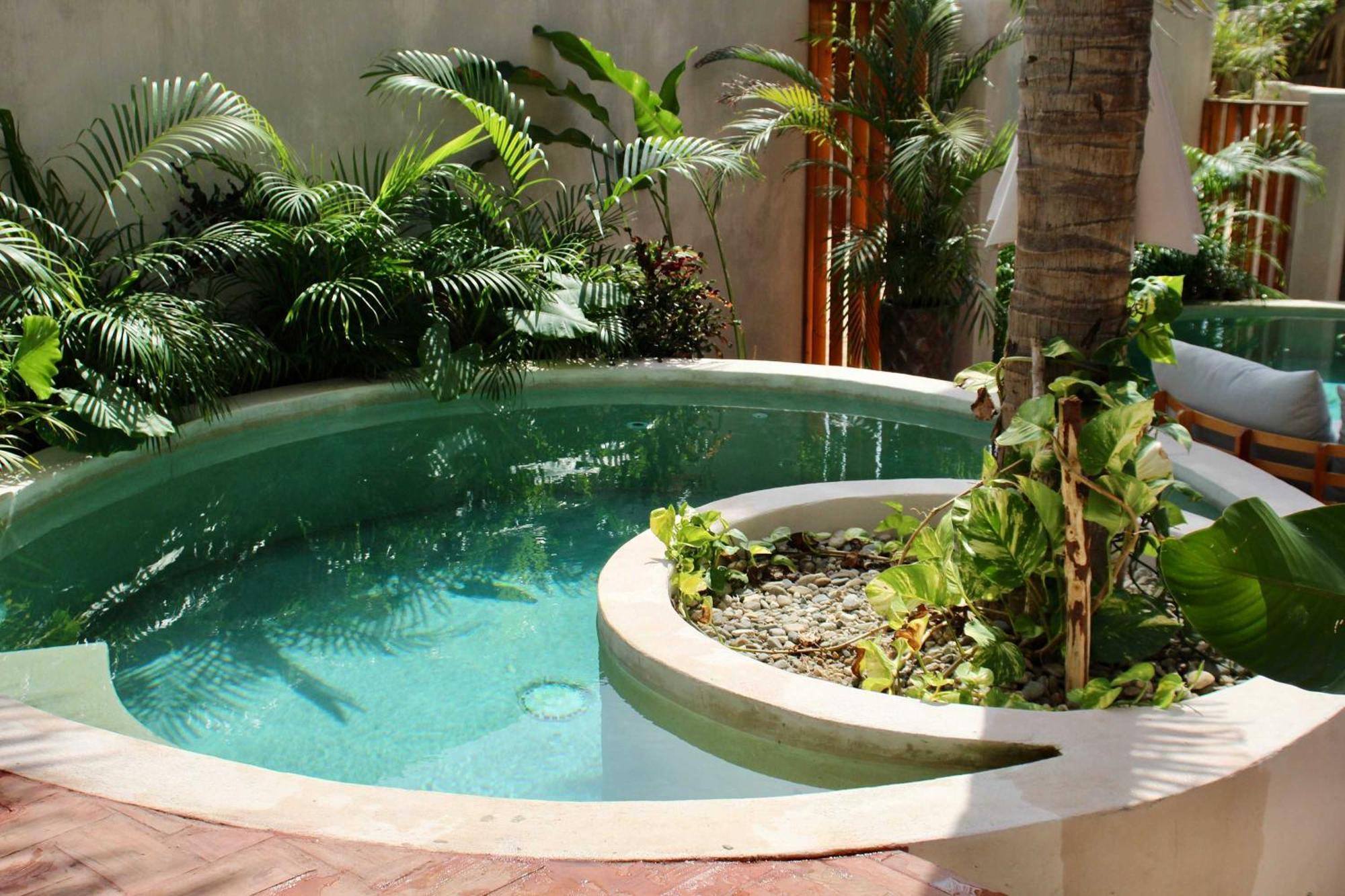 Apartment Casa Leah In Zicatela - Luxury Boutique - With Private Plunge Pool - Steps From The And La Punta - Ac In Bedroom - 8 Puerto Escondido (Oaxaca)